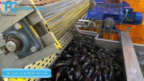 Dây chuyền rửa và chế biến rau củ quả - Thành Công