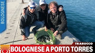 Trabucco TV - Bolognese a Porto Torres