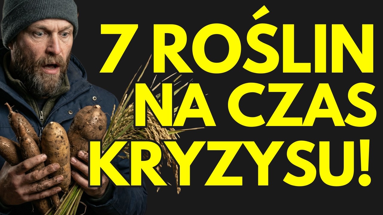 Te 7 Roślin Wyżywi Twoją Rodzinę Nawet w Najgorszym Kryzysie | Ranking Kalorii z m²