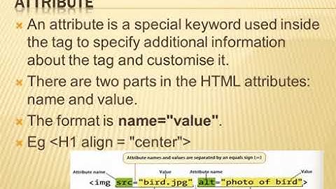 BASICS OF HTML || Class VIII CBSE  || Computer Science   || Chapter 3 Part 1 || Sithara Xavier