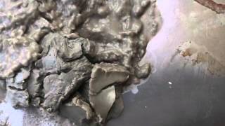 OhSnap! Time Lapse Bentonite