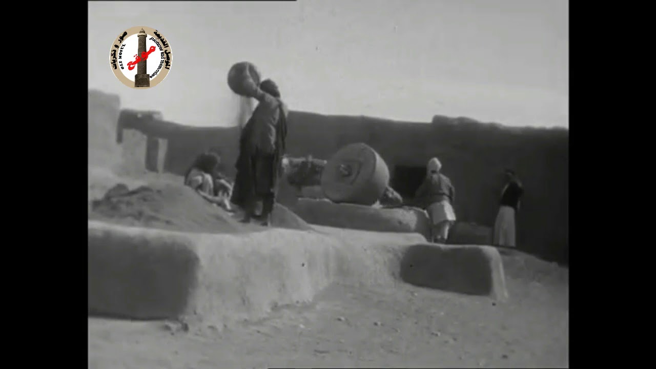 الجزء الخامس (5)الحياة اليومية في قرية النبي يونس   1929 1930