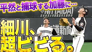 【ガリ！ガリ！】細川凌平『平然と捕球する加藤に超ビビる』