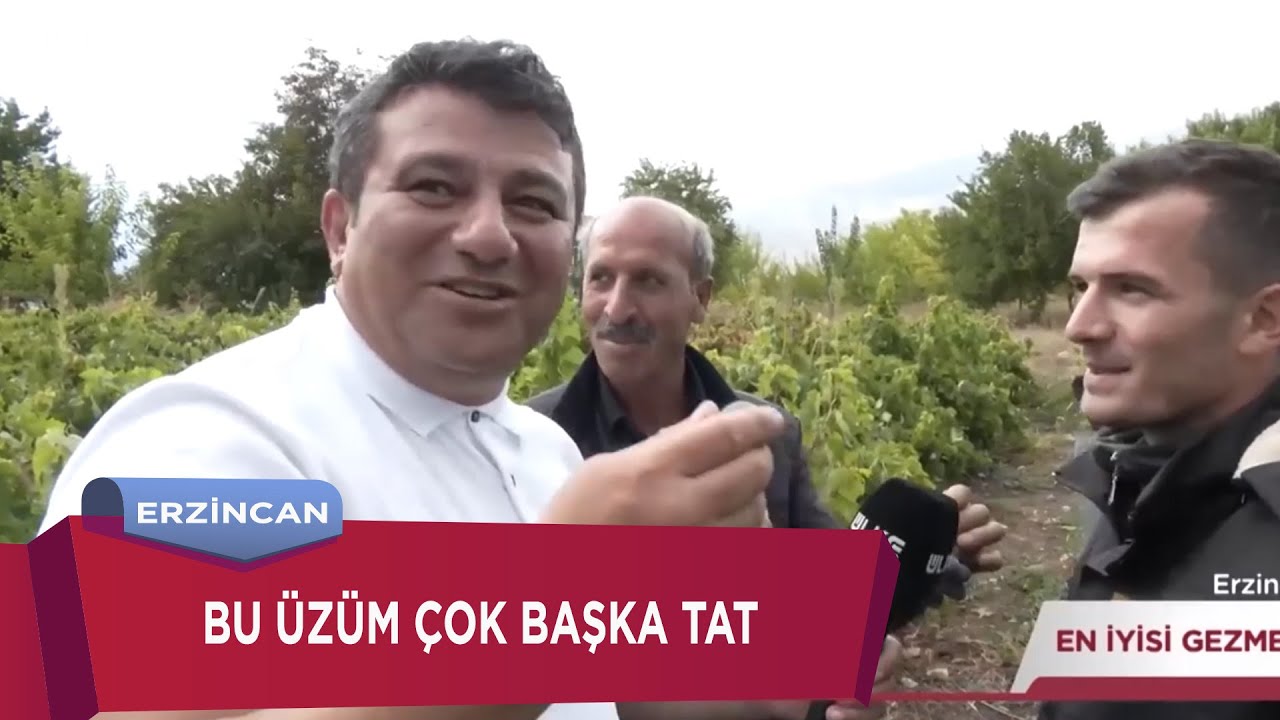 Bu Üzümü Yiyen Yerinde Duramıyor | En İyisi Gezmek - Erzincan
