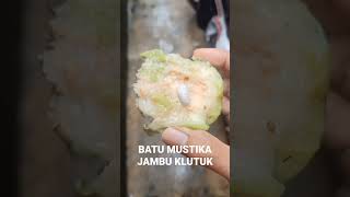 Download Lagu BATU MUSTIKA JAMBU KLUTUK MP3