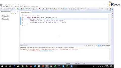 Enabling and disabling assertions in development environment