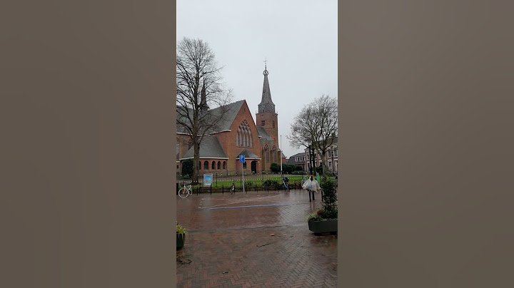 Hillegom #dutch #travel #shortsvideo #city #shorts #short #niderland #holland #holanda #europe