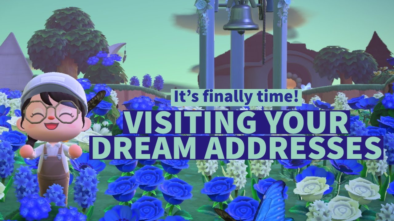 Visiting your dream addresses! ACNH YouTube