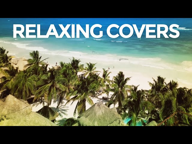 Relaxing Covers - Beach Background Video class=