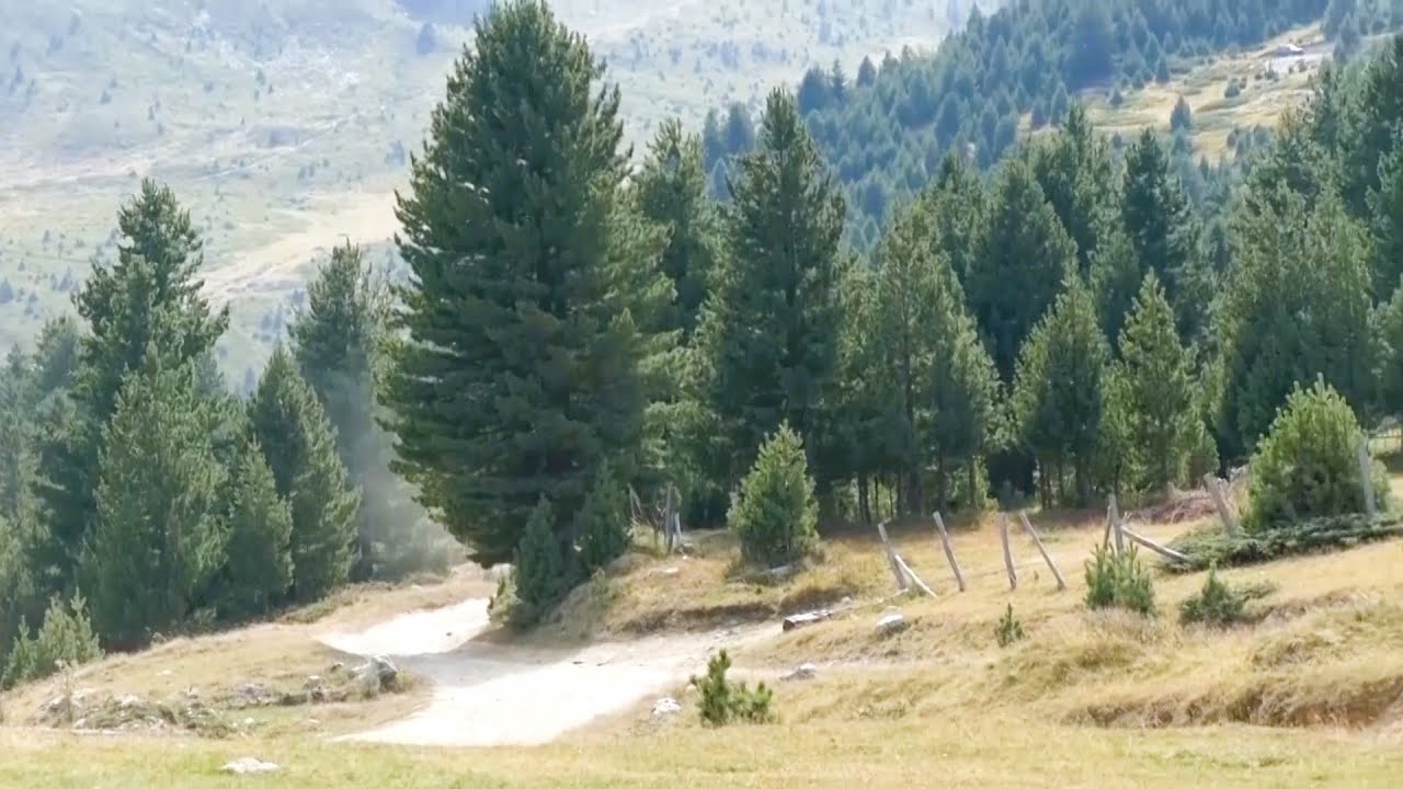 Bjeshka LUGU I GJATË - Reportazh