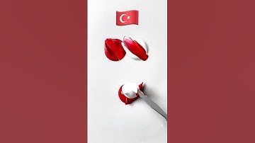 What color do mixed flags make? #satisfying #colormixing #flagmixing #magicolor #mixingcolors #asmr