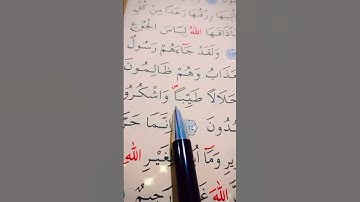 سورة النحل الأية 113 إلى 115 القارئ سعد الغامدي 🤍