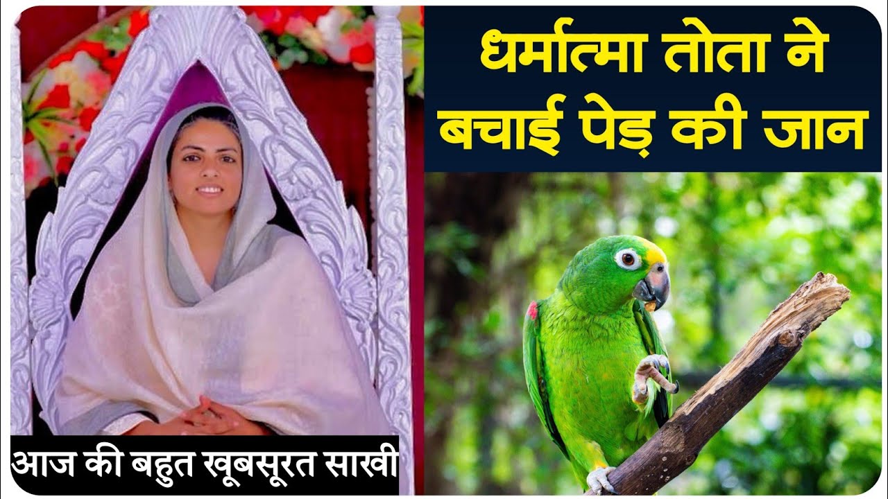 धर्मात्मा तोता ने बचाई पेड़ की जान । | आज की खूबसूरत साखी | KOMAL वाणी | Nirankari Sakhi @komalvani