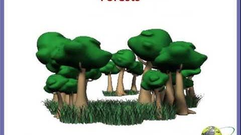 CBSE 4th science How plants survive video s-1|Science worksheets mcqs 4th grade