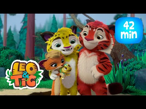 Leo & Tig - Pais adotivos e mais episódios completos  | Desenho infantil ??