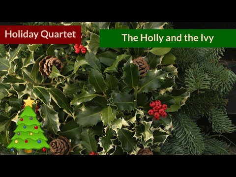 The Holly and the Ivy - Christmas Native American Flute Quartet