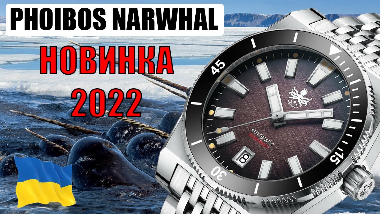 Новинка 2022 от микробренда Phoibos Narwhal | Блог магазина FeelTime