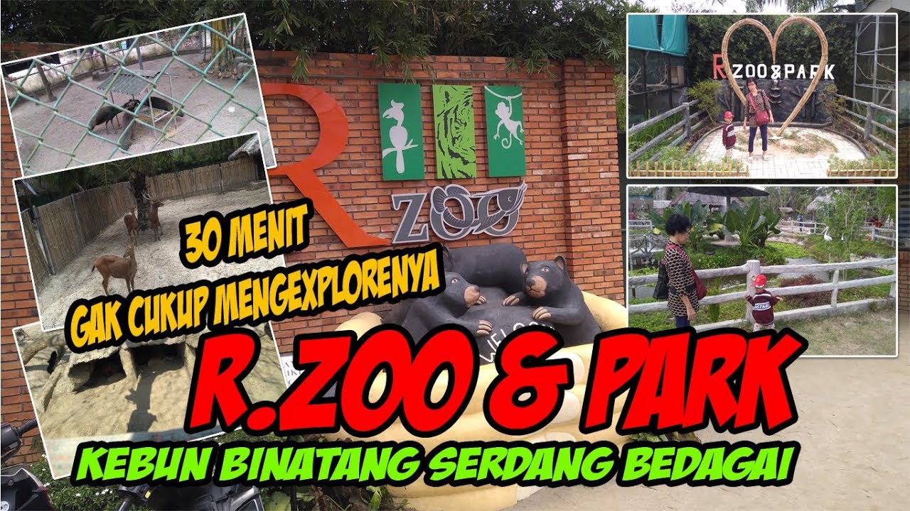 Taman Hewan Perbaungan / Taman Hewan Pematang Siantar ...