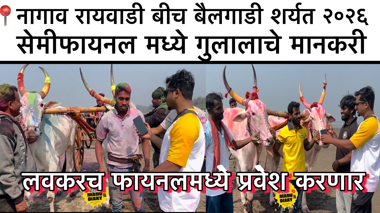 नागाव बीच बैलगाडी शर्यत २०२६, सेमीफायनल मध्ये गुलालाचे मानकरी, लवकरच फायनलमध्ये प्रवेश करणार💪🏼💪🏼