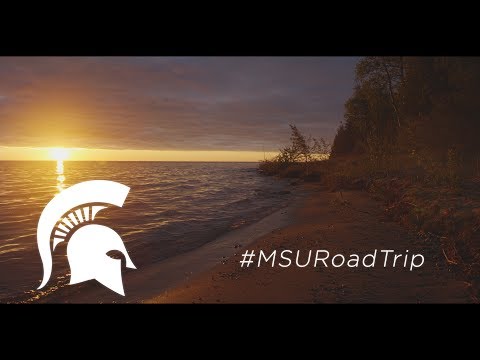 MSU sea lamprey research