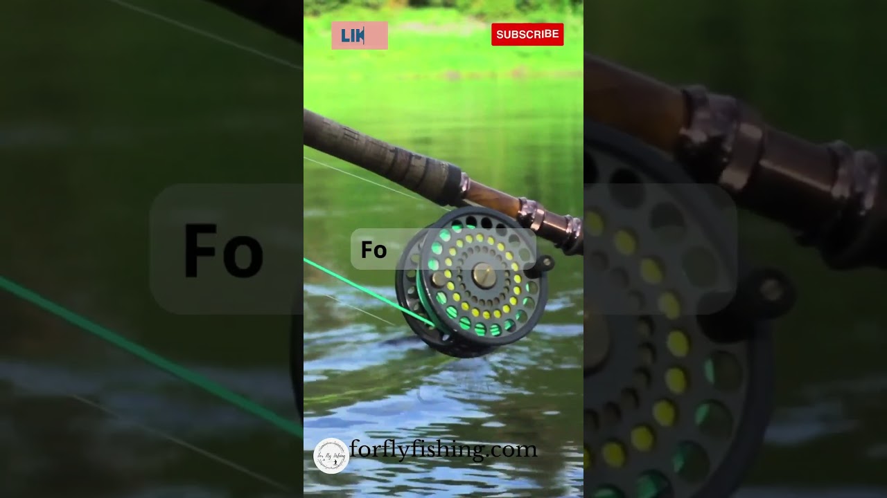 What is the World Record Warmouth?