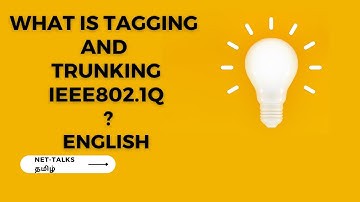 What is IEEE 802 1Q: Tagging and Trunking ? in  ENGLISH