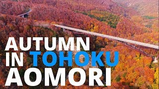 【紅葉の東北】青森／Autumn in Tohoku:AOMORI【空撮】