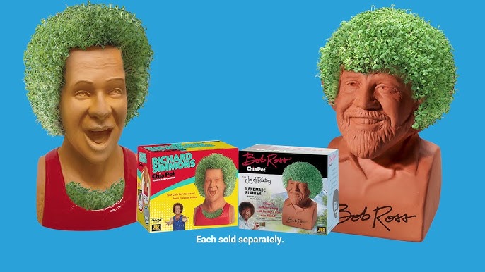 cs188 💩 on X: Bob Ross would call my chia pet a happy accident. 😂 You  know what they say: Do it all over again.  / X
