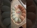 Rainbow eggs over the weekend! #rainboweggs #doubleyolker #fresheggs