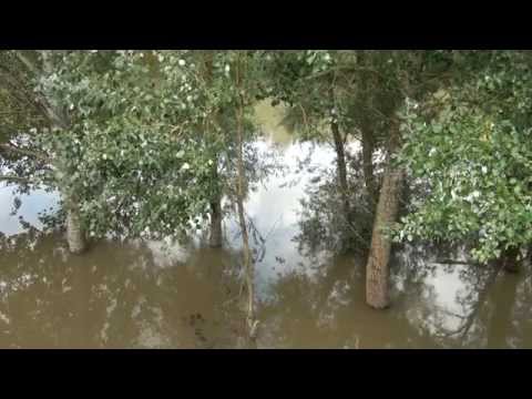 Velika Drava -