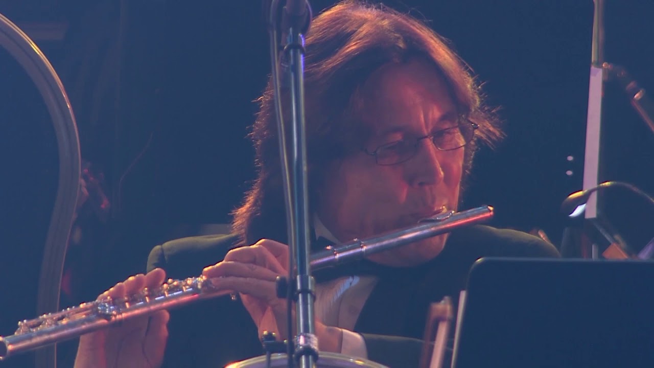 Watch ДиДюЛя в исполнении симфонического оркестра - "День рождения" on YouTube