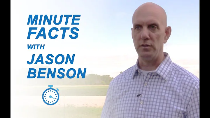 Minute Fact about Rural Areas and the FM Area Dive...