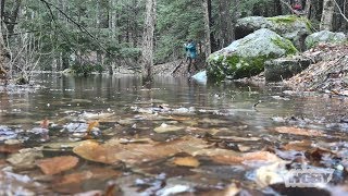 The Vernal Pools of Plainfield and Hawley | Connecting Point | May 6, 2019