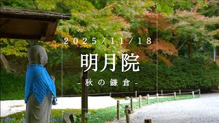 秋の北鎌倉【明月院】紅葉期には公開される本堂奥の庭園へ