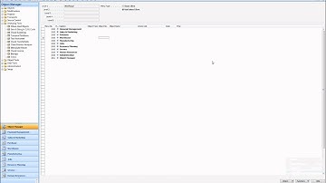 12 - Analyzing Tools MenuSuite Viewer - Object Manager Advanced