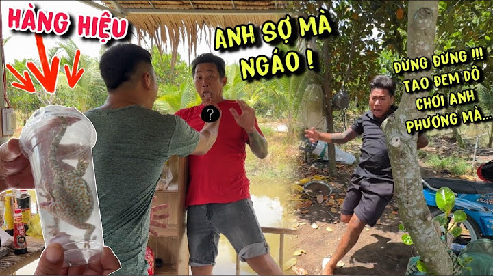 TNB -Đem Khắc Tinh Dô Để Troll Người Ta Nhưng Không Ngờ Mình Cũng Bị Chơi Luôn