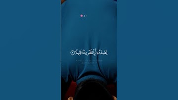 سورة المزمل SURAH AL-MUZZAMMIL #عبدالولي_الاركاني #abdulwali_alarkani