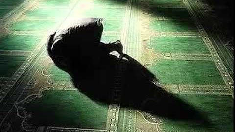 تلاوة عطره للشيخ سلمان العتيبي