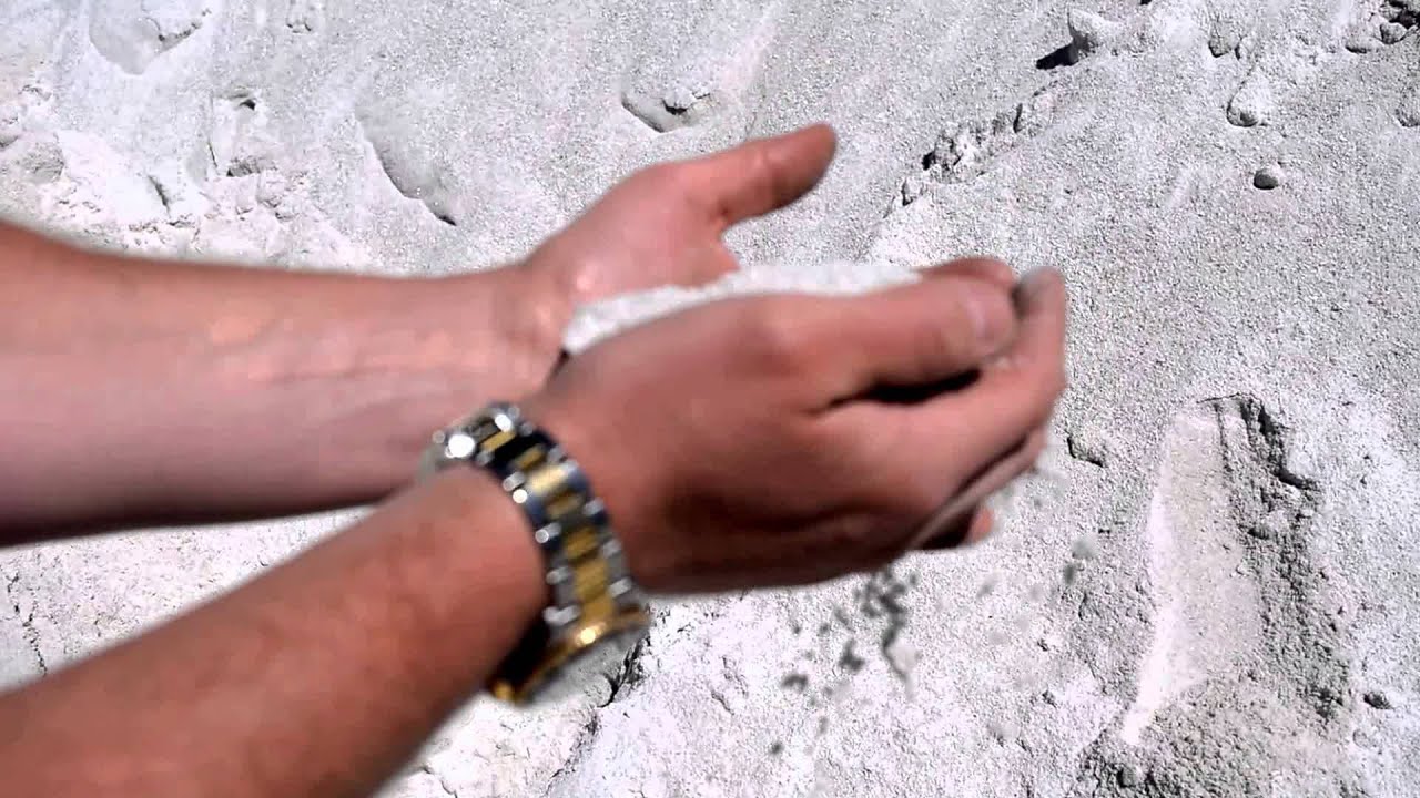 lime green hydrangea hydrangea flower flowers near me flowers green hydrangea green wedding flowers hydrangea bouquet wedding on where can i buy white sand in bulk near me