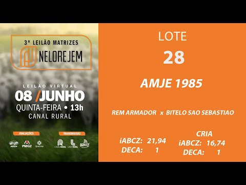 LOTE 28