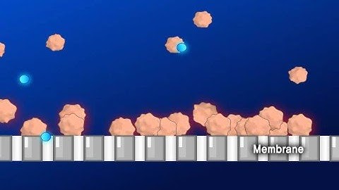 Conventional crossflow fouling effect on membrane (www.bkt21.com)