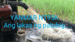 YANMAR NT95K lakas ng patubig sa palayan....