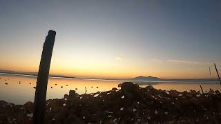 ÖRDEK AVI HIRFANLI BARAJI - DUCK HUNTING  Rehber Selçuk Koçaş