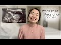 Pregnant W/ PCOS | Week 12-13 Updates!