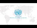 The united nations industrial development organization ru