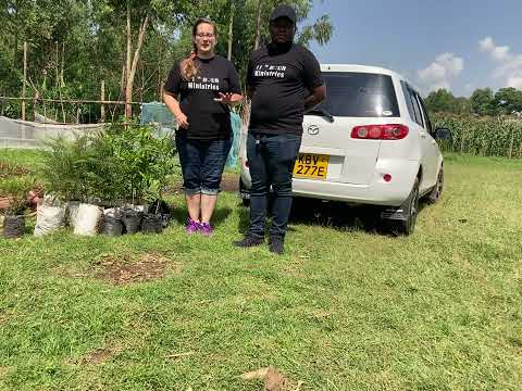 planting trees at Bright Start Academy#missions #11thhourministries_kenya#Kids