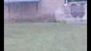 Schmeckes, Schnüd, Berni U. Data Zu 4 Auf Schnüd Sein Muschi