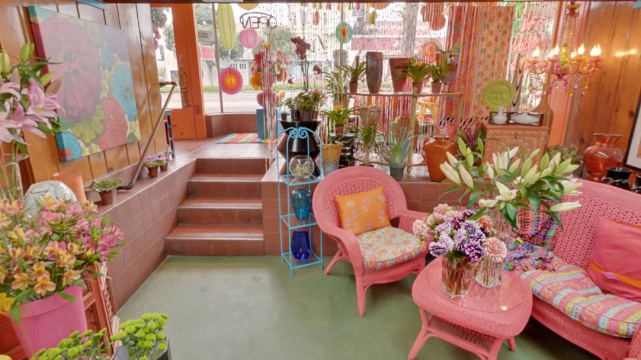 The Delicate Daisy House of Flowers San Francisco, CA Florist