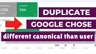 How To Fix Duplicate, Google chose different canonical than user in Google console screenshot 4