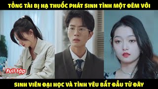 Tổng Tài bị hạ thuốc phát sinh tình một đêm với cô sinh viên đại học và tính yêu bắt đầu từ đây